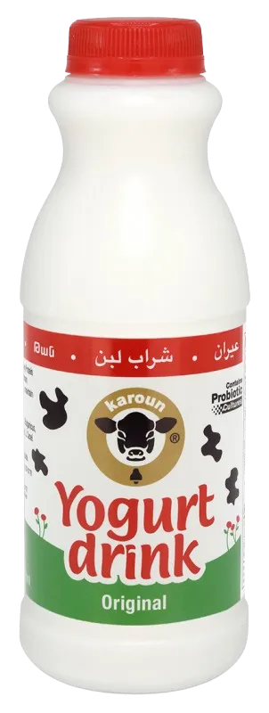 AYRAN ORIGINAL 24/473ML KAROUN DAIRIES N136473