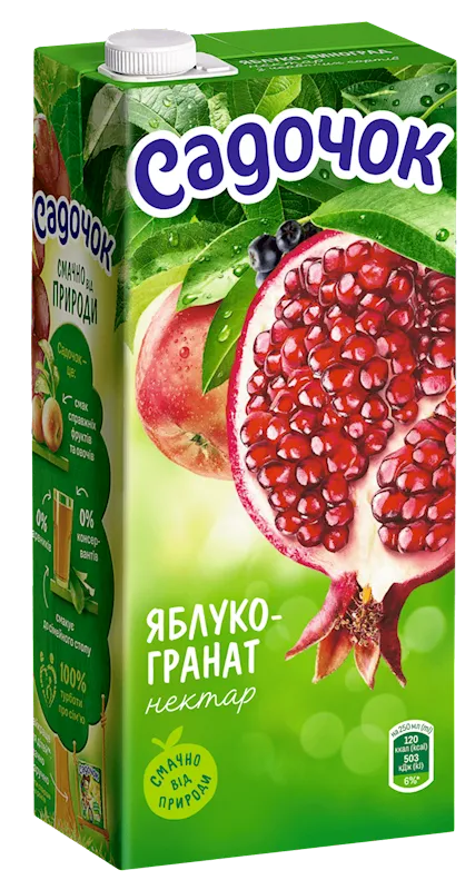 NECTAR APPLE&POMEGRANATE 12/0.95L SADOCHOK