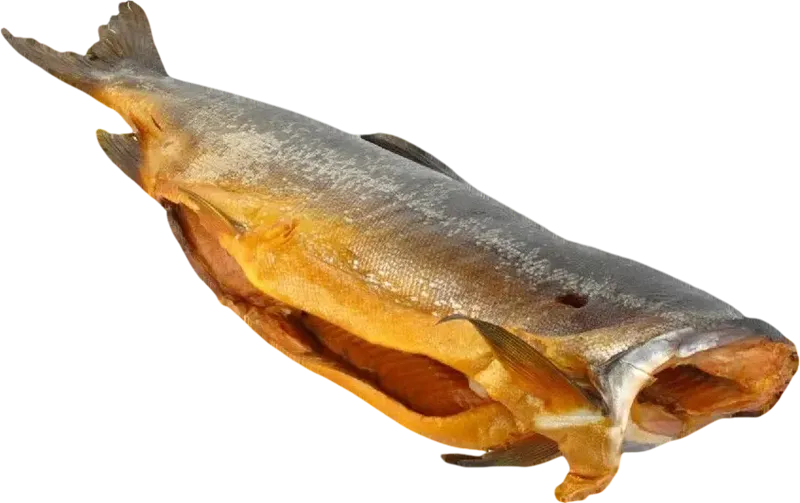 BABY SALMON COLD SMOKED LOOSE BY LB 5/16LB GOLD STAR N210505 BS