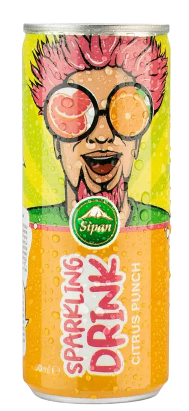 SOFT DRINK CITRUS PUNCH 12/250ML SIPAN