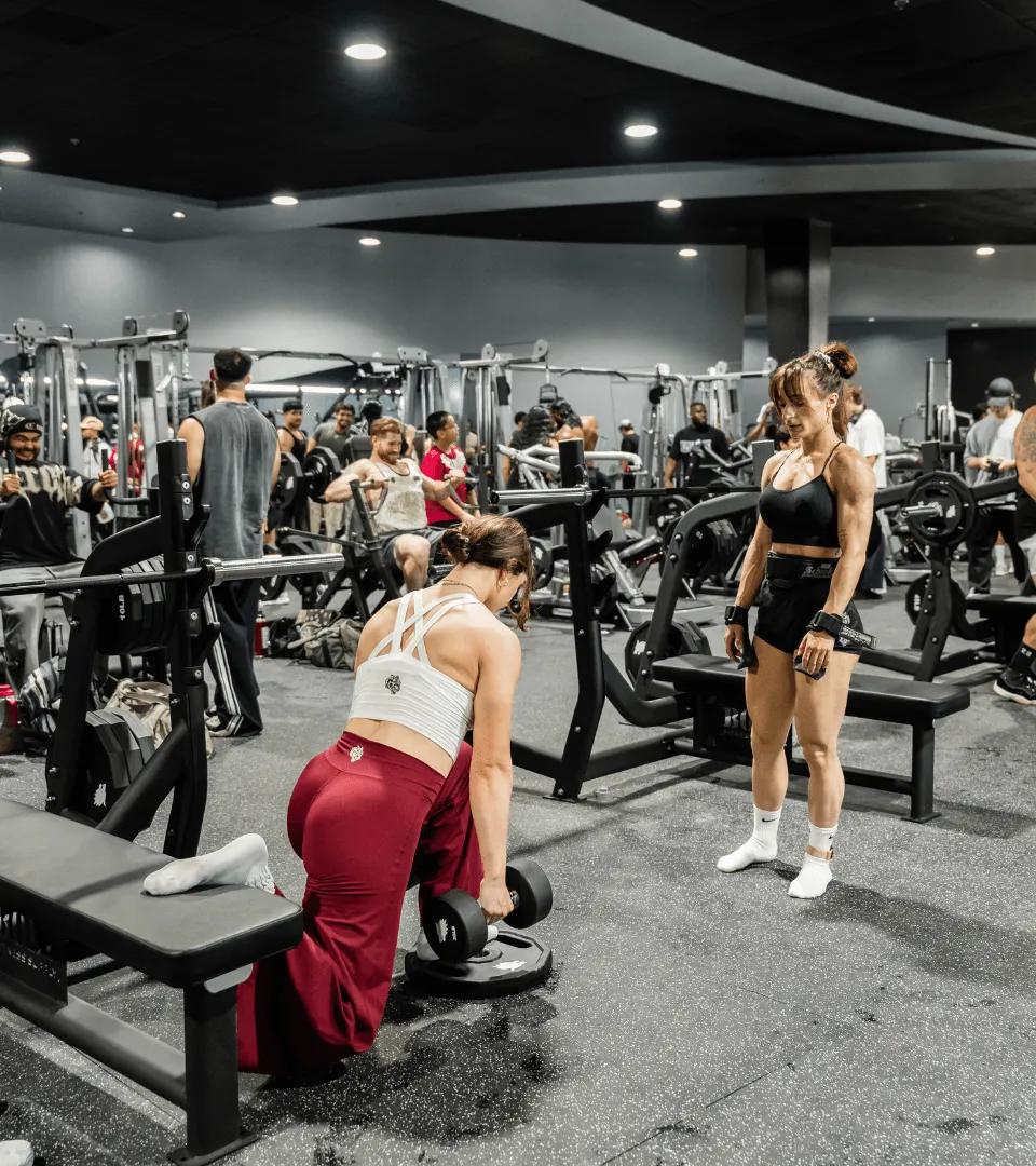 AN IRON PLAYGROUND FOR EVERYONE