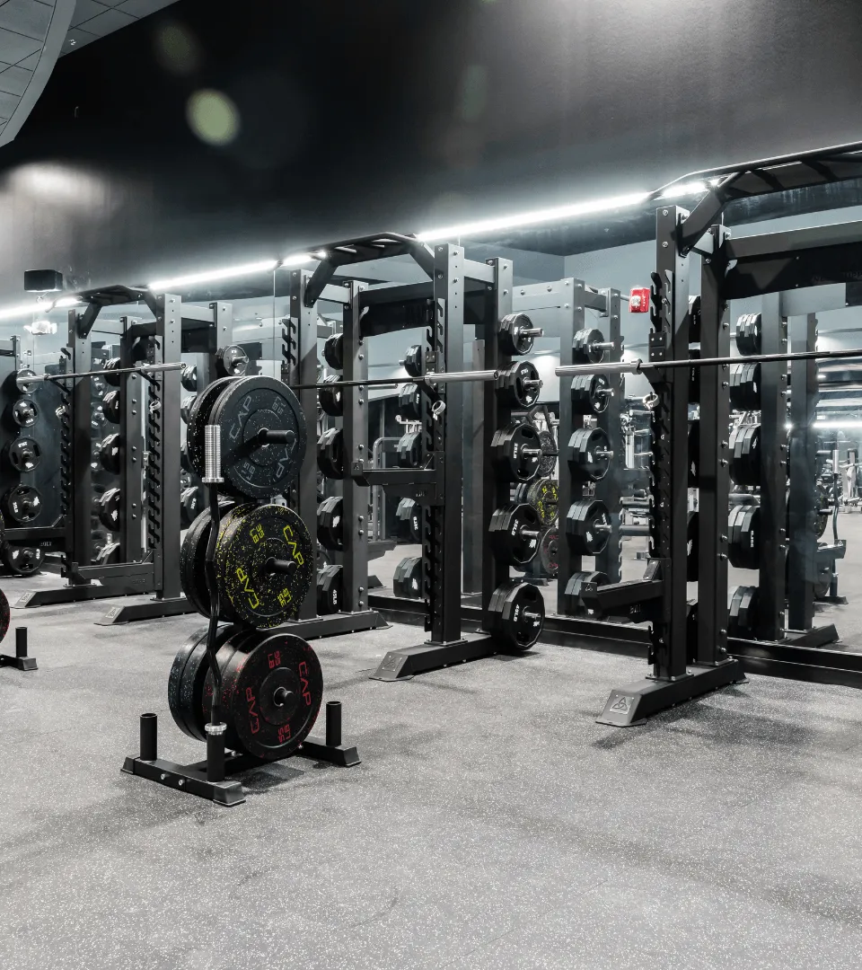 ELITE POWERLIFTING EQUIPMENT